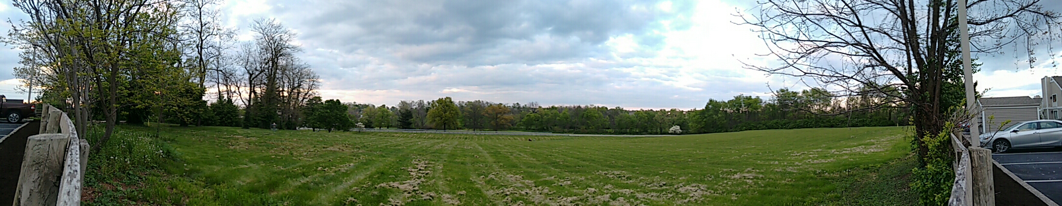 The grassy fields in spring
