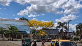 Among chery bluzom sa bukid kay yelow 😂

Happy Easter all!