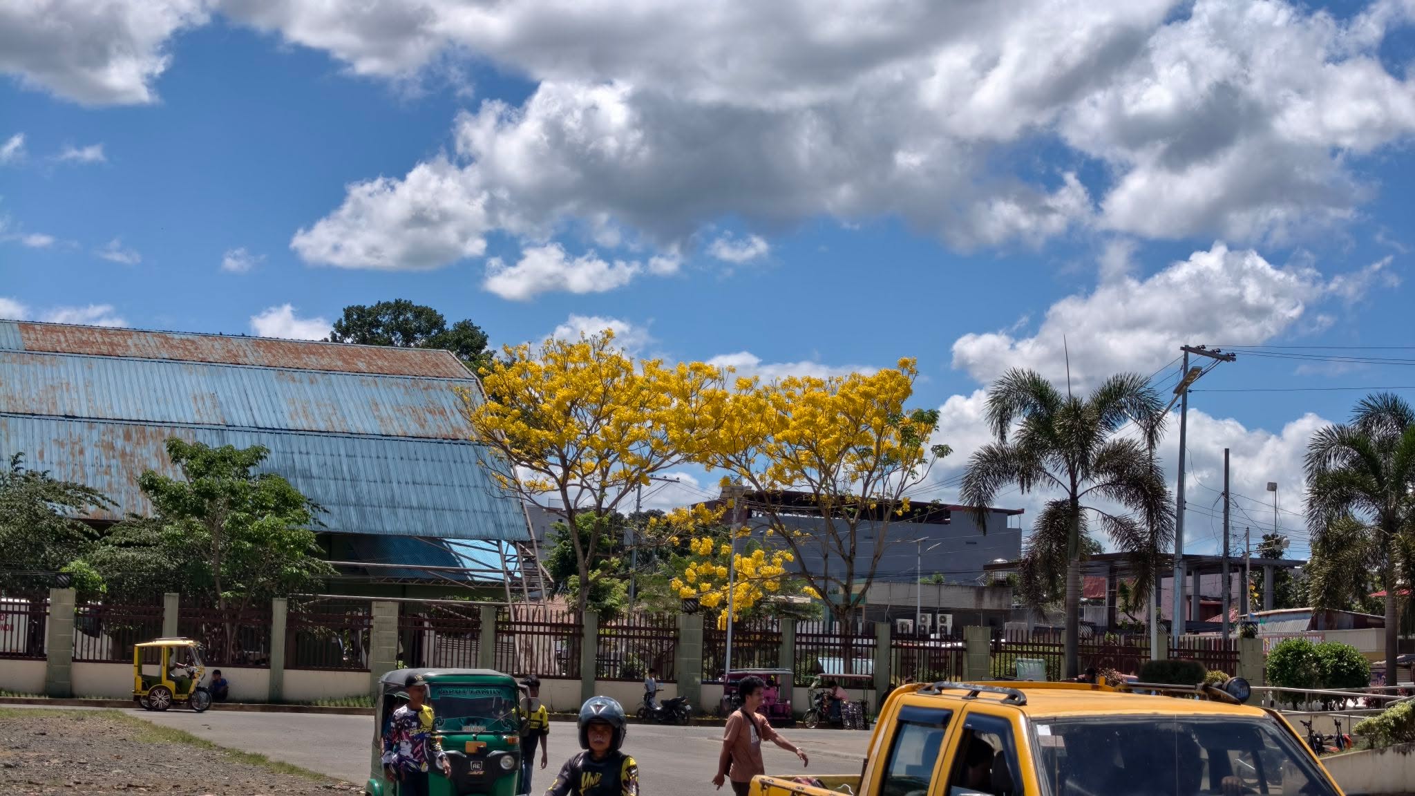 Among chery bluzom sa bukid kay yelow 😂

Happy Easter all!