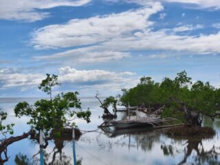 Camotes is one of those places where you go to unwind and just relax in the stillness of life. No parties, no huge crowds, no loud noise, just you and the crystal clear waters, stunning sunsets, marvelous caves, breathtaking cliffs, and beaches you can't wait to bask in. I'll definitely be coming back.